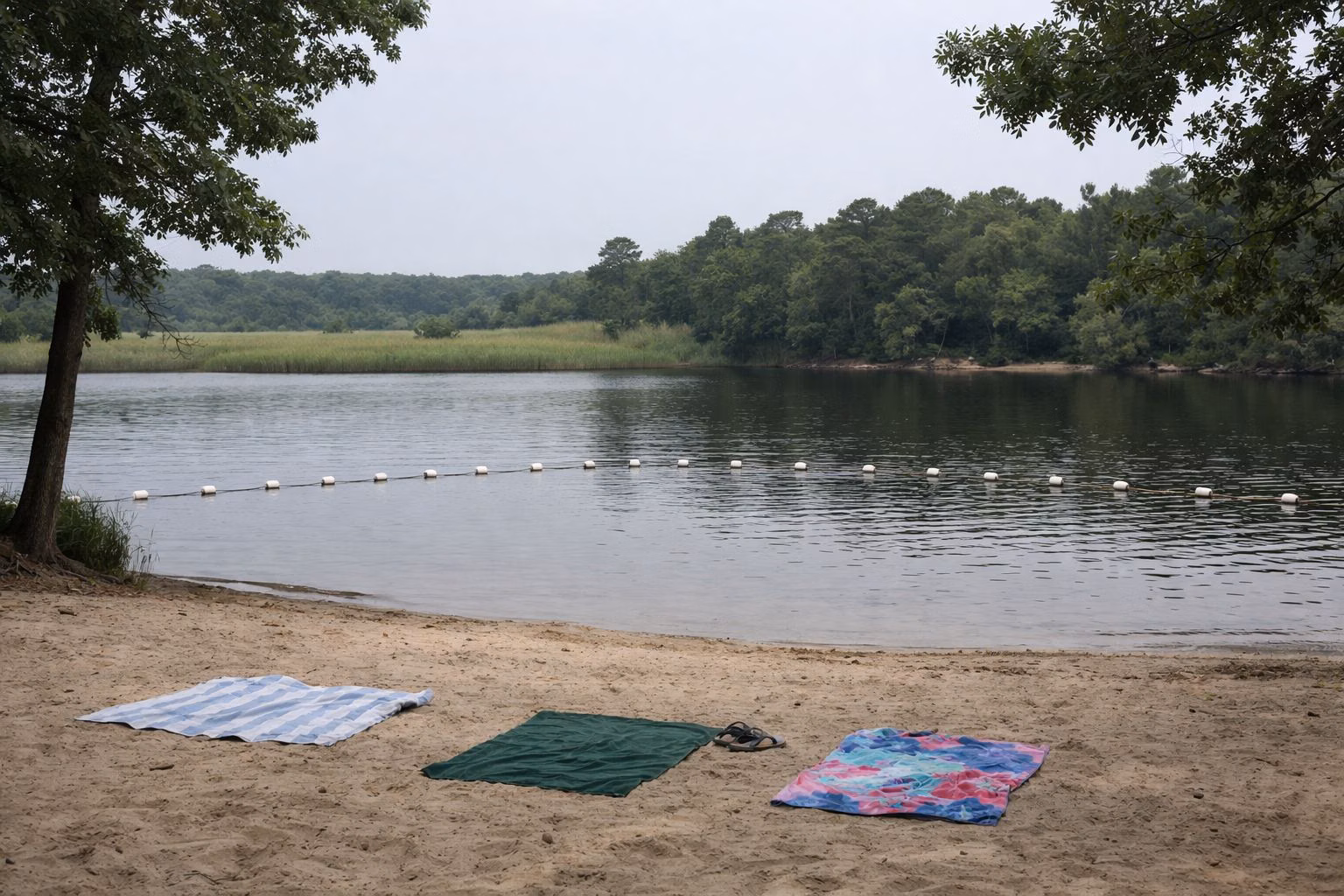 A small sandy beach on a calm wooded freshwater lake, a line of white floats marking a swimming area, oak trees around the shore